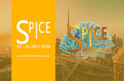 2024 SPICE 博弈展