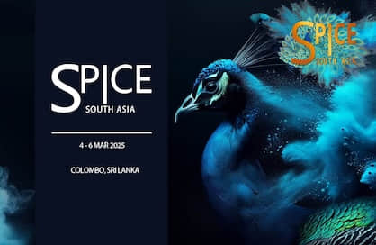 2025 SPICE 博弈展